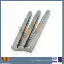 High Precision DIN9861 Standard Punches Punch Pins (MQ822)